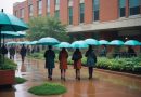 Programas De Sustentabilidade No Campus