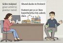 Bolsas De Estudo Para Estudantes Carentes